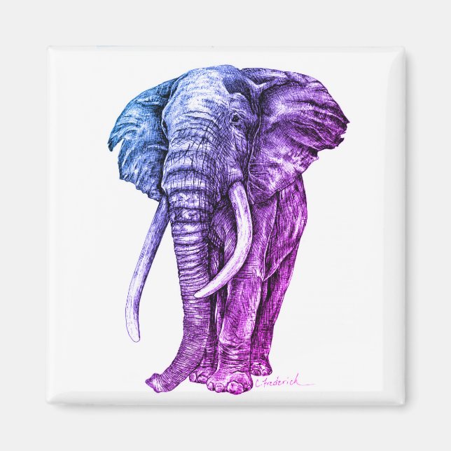 Aimant Eléphant (Devant)