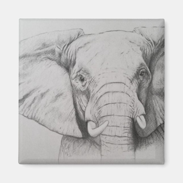 Aimant Elephant 2011 (Devant)