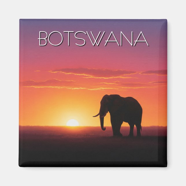Aimant Eléphant au Botswana au coucher du soleil (Devant)