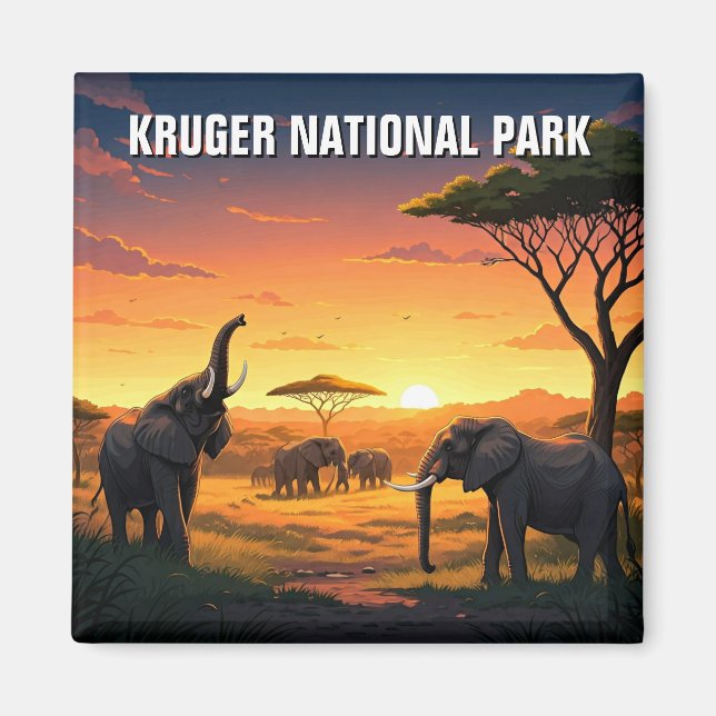 Aimant Elephant dans le parc national Kruger Afrique du S (Devant)