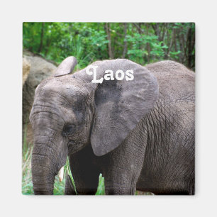 Aimant Éléphant des Laotiens