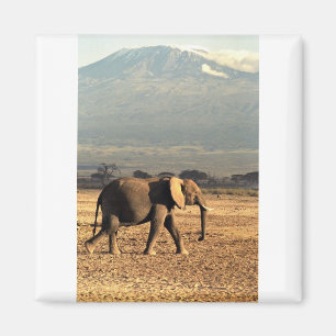 Aimant Éléphant devant Kilimanjaro