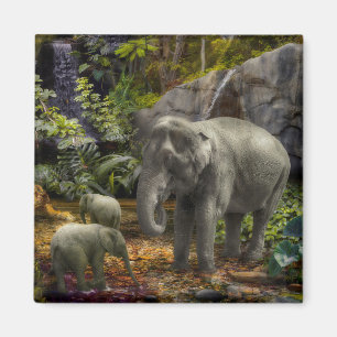 Aimant Elephant Family RAIN FOREST PARTI