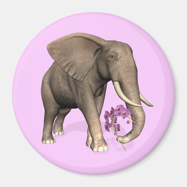 Aimant Elephant With Pink Orchid (Devant)