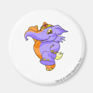 Aimant Elephante Split