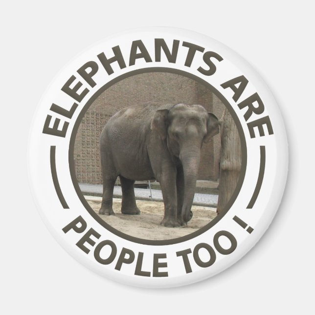 Aimant ÉLÉPHANTS (Devant)