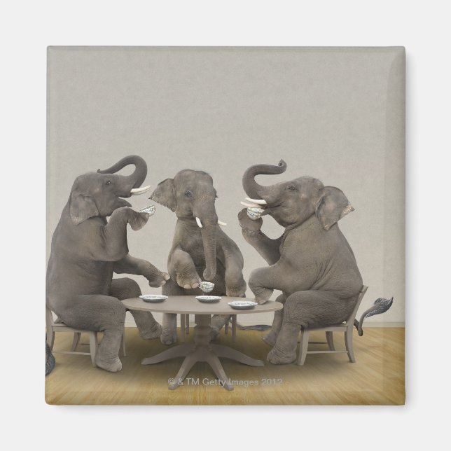 Aimant Elephants having tea party (Devant)