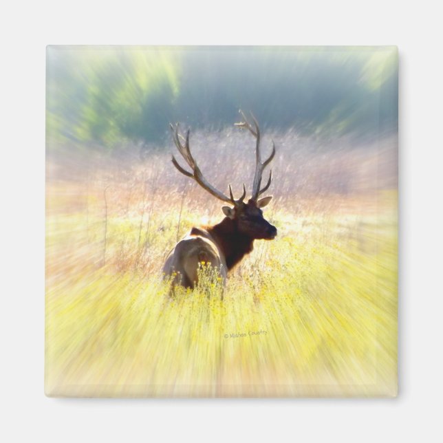 Aimant Elk "Regarder le passé" (Devant)