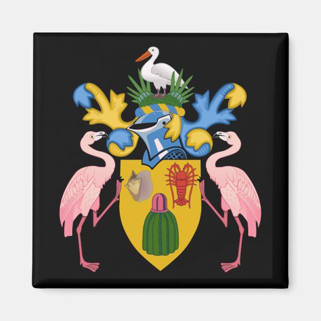 Aimant emblème des îles turques et caicos (Devant)