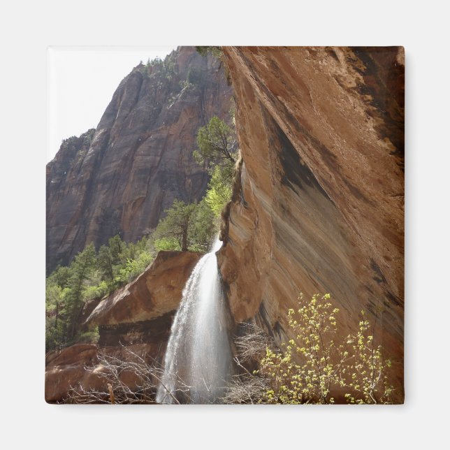 Aimant Emerald Pool Falls III du parc national de Zion (Devant)