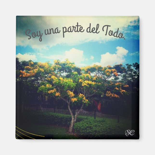 Aimant empoderamiento (Devant)