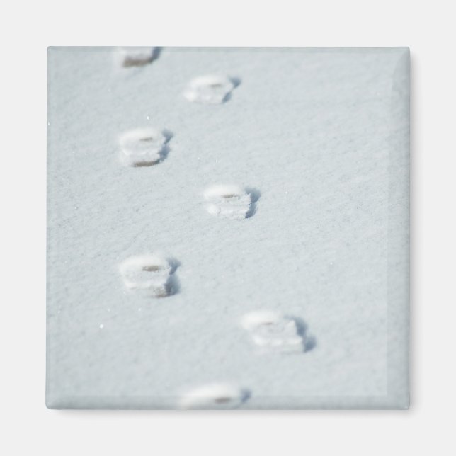 Aimant Empreintes de neige (Devant)