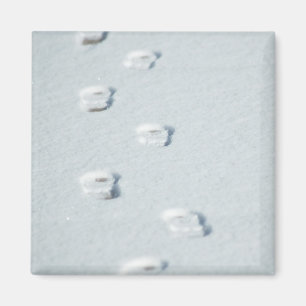 Aimant Empreintes de pas dans la neige