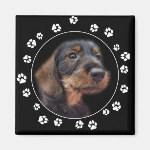 Aimant Empreintes de pattes de chiot Dachshund Wirehair