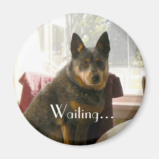Aimant En attente...