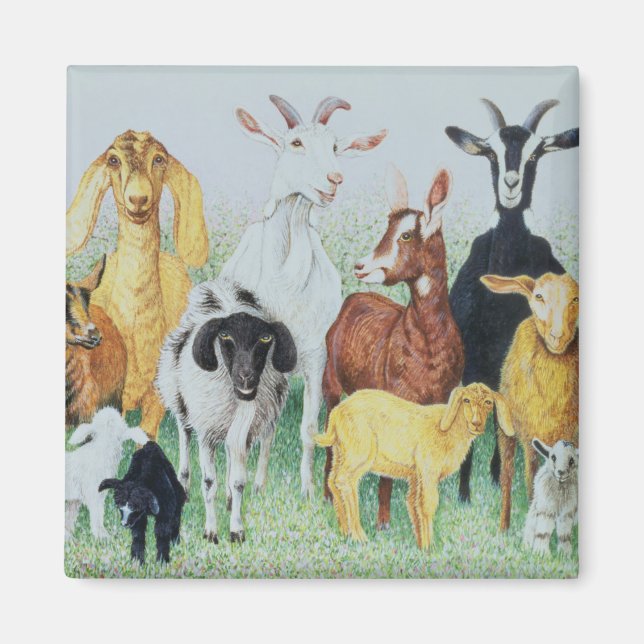 Aimant En Clover (Devant)