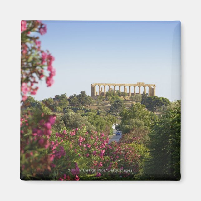 Aimant En Dehors De La Vallée Des Temples (Devant)