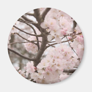 Aimant en fleur de cerisier (rond)