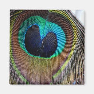 Aimant en plume de paquetage