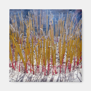 Aimant Encens dans un temple, Zhongdian, Yunnan - Chine