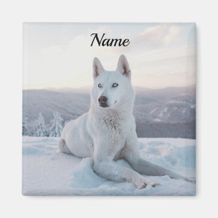 Aimant Enchanter White Husky Dog dans la neige