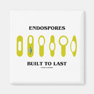 Aimant Endospores a construit pour durer (l'attitude