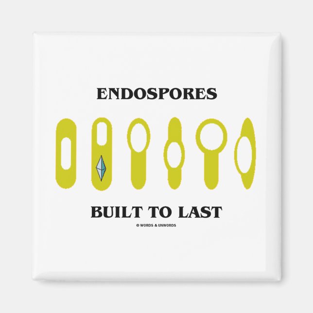 Aimant Endospores Construites À Dernier (Attitude Bactéri (Devant)