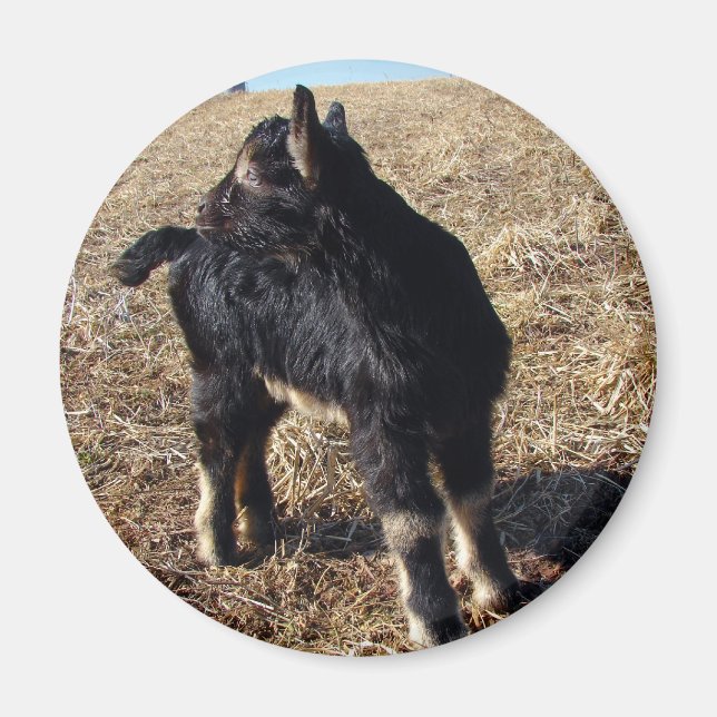 Aimant Enfant noir et tan (Devant)