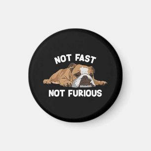 Aimant English Bulldog Sleeping Not Fast Not Furious Funn