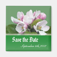 enregistrer la date, fleurs de pomme