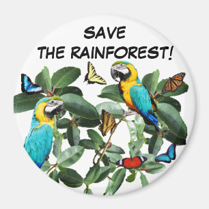 AIMANT ENREGISTRER LA FORÊT DE PLUIE