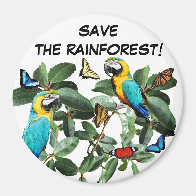 AIMANT ENREGISTRER LA FORÊT DE PLUIE (Devant)