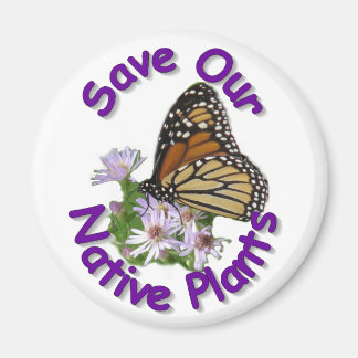 Aimant Enregistrer l'aimant du monarque Asters natif