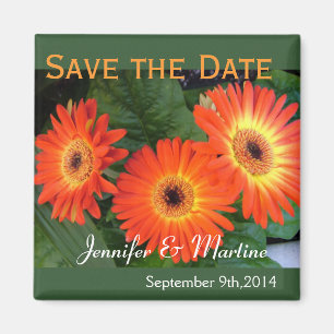 Aimant Enregistrez la date, fleurs de gerbera