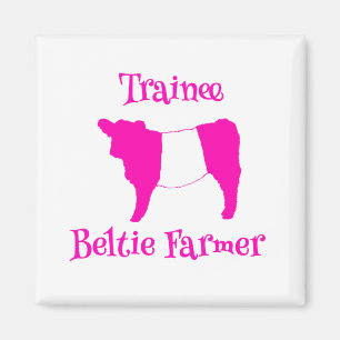 Aimant Enseignant Beltie Farmer Vaches Galloway à ceintur