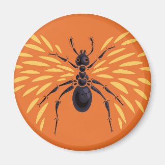Aimant Entomologie orange d'Insecte de la fourrure