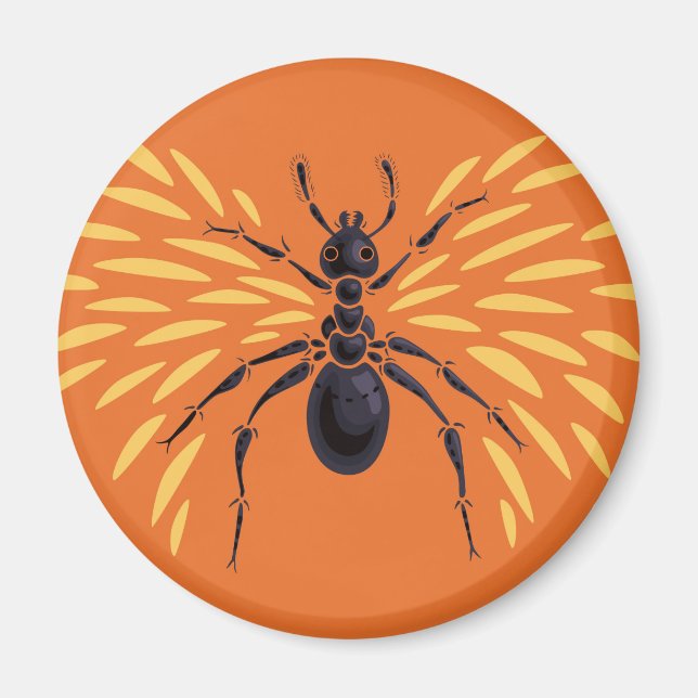 Aimant Entomologie orange d'Insecte de la fourrure (Devant)