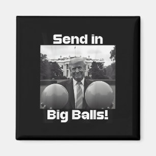 Aimant Envoyer Dans Big, Président Trump Et Doge