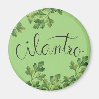 Aimant Épice de Cilatro