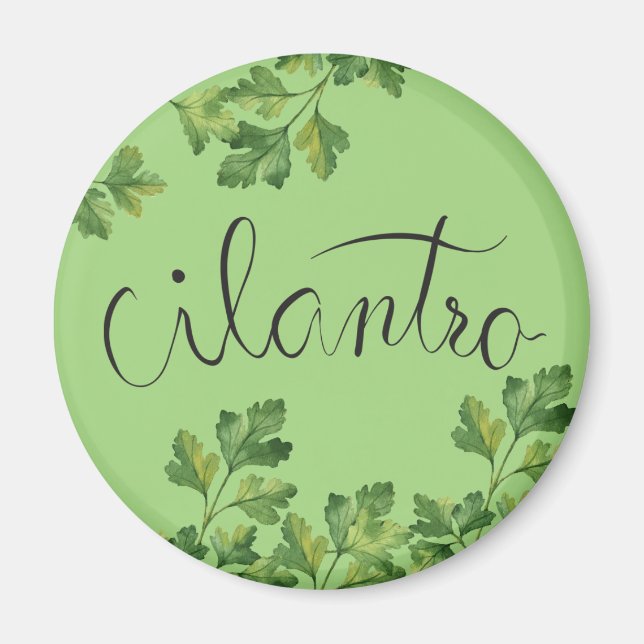 Aimant Épice de Cilatro (Devant)