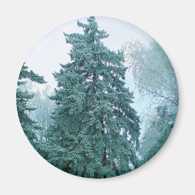 Aimant Épinette avec neige (Devant)