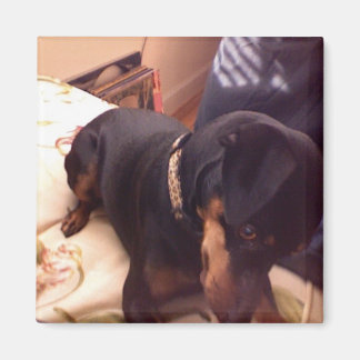 Aimant Épingle Min Silencieuse