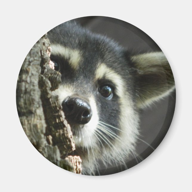 Aimant Épuisé (Devant)