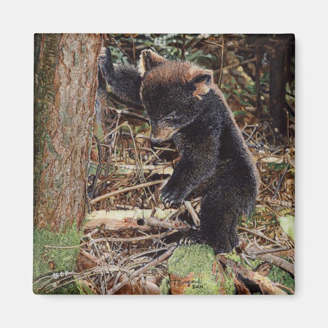 Aimant Épuisé (Devant)