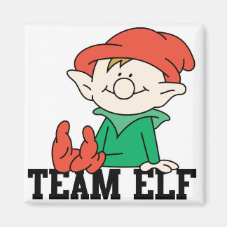 AIMANT EQUIPE ELF