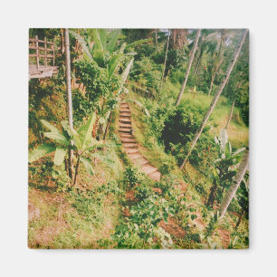 Aimant Escalier de la forêt tropicale de Bali