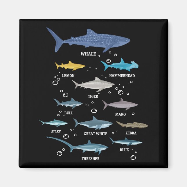Aimant Espèces de requins Le requin fait face à la biolog (Devant)