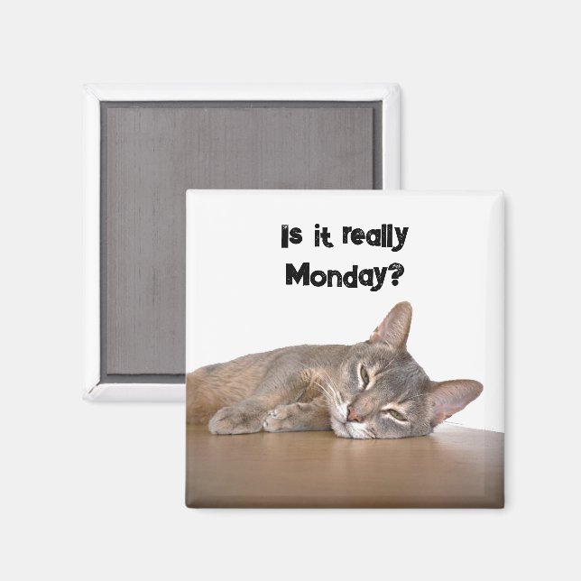 Aimant Est-Ce Vraiment Lundi ? Mème de chat Abyssinien dr (Recto/Verso)