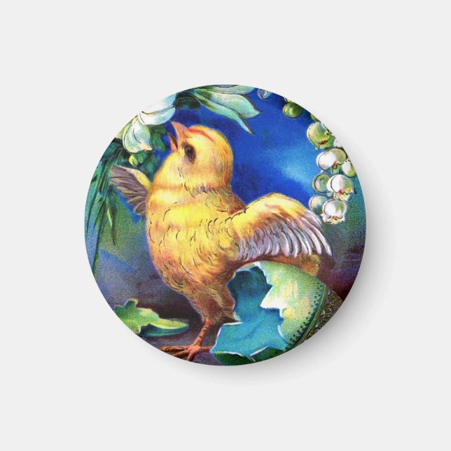 Aimant Est Tombé Un Bon Poussin De Pâques (Devant)