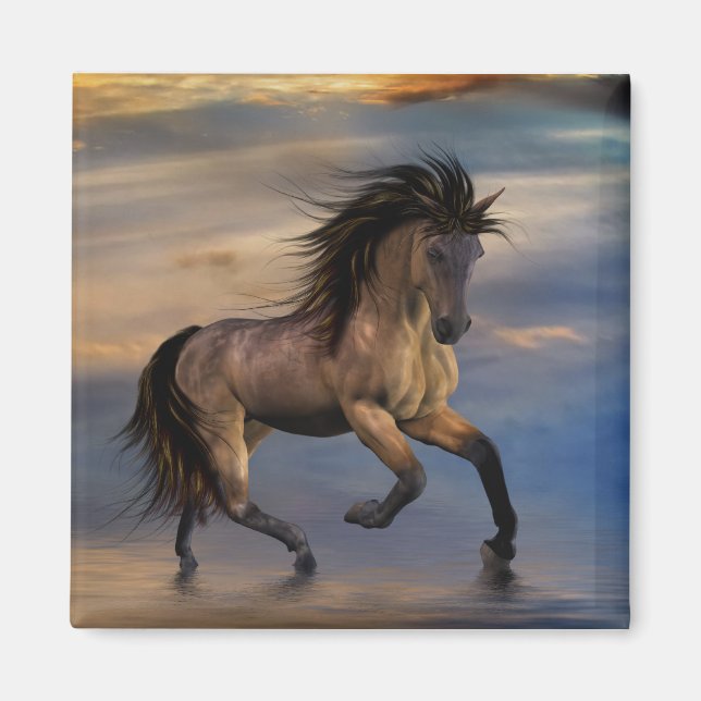 Aimant Etalon .. sauvage (Devant)